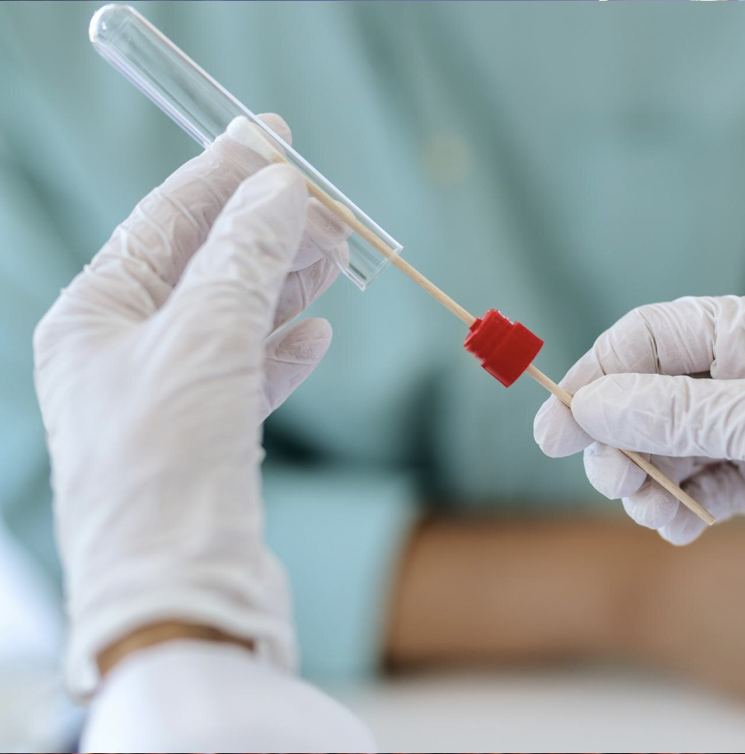 Blastokist Transferi