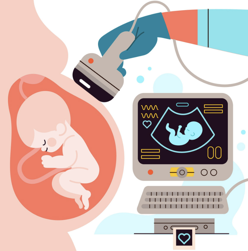 Fetal Ekokardiyografi