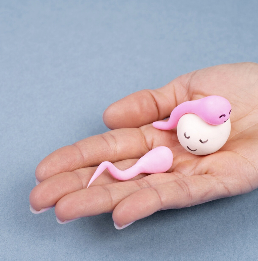 Kısırlık & Tüp Bebek